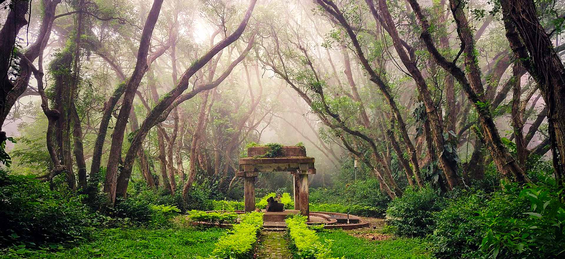 Nandi Hills